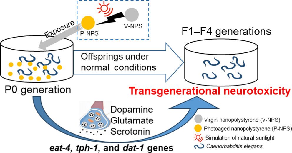 images_large_es4c02755_0007.jpeg images_large_es4c02755_0007.jpeg